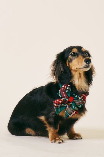 storets.com [COSONNE] Tartan Pet Sailor Bow