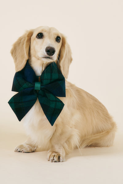 storets.com [COSONNE] Tartan Pet Sailor Bow