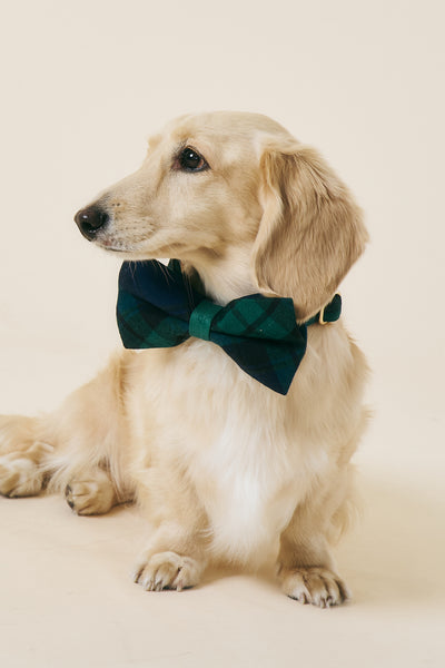 storets.com [COSONNE] Tartan Pet Bowtie