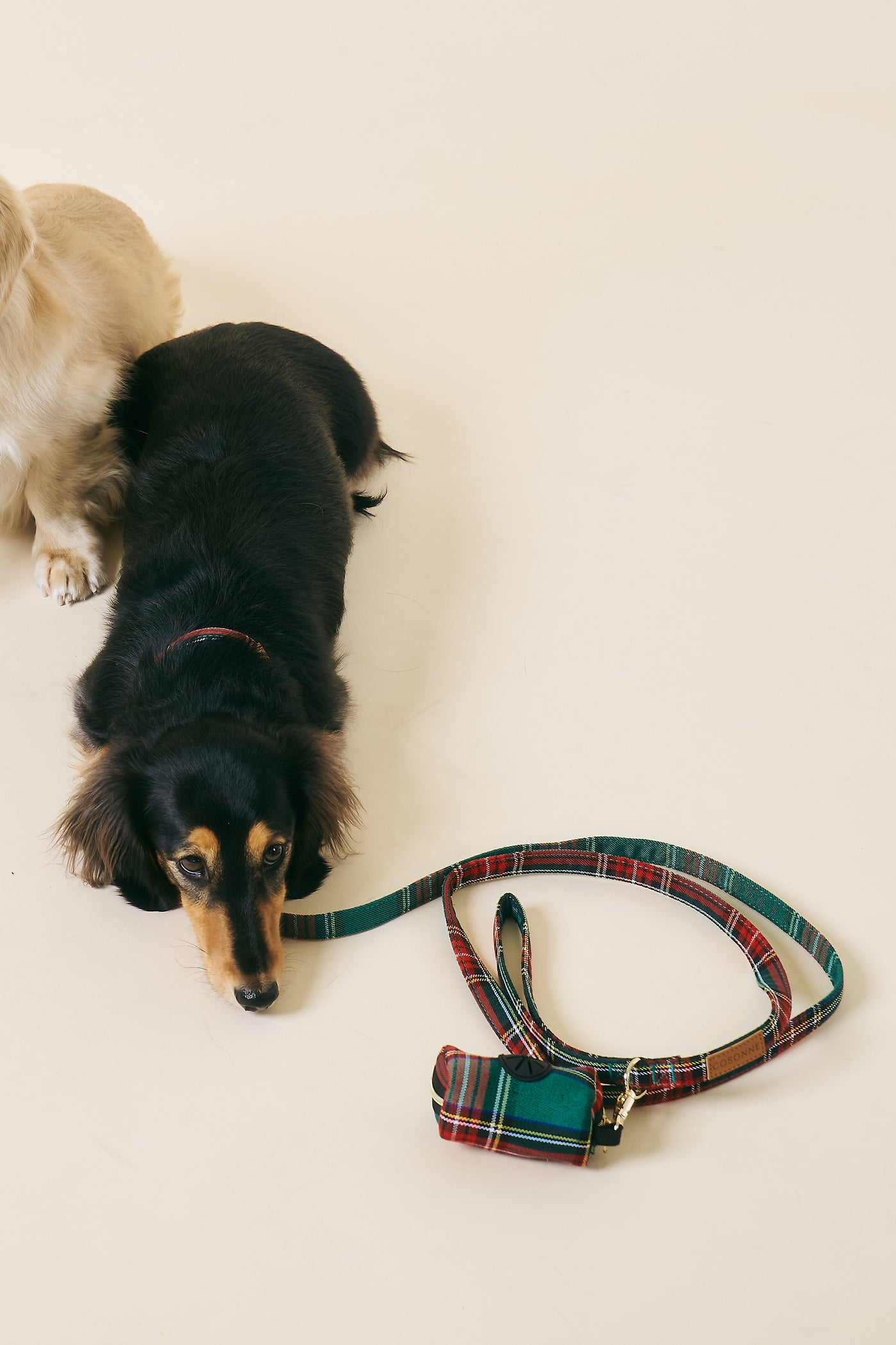 storets.com [COSONNE] Tartan Pet Leash