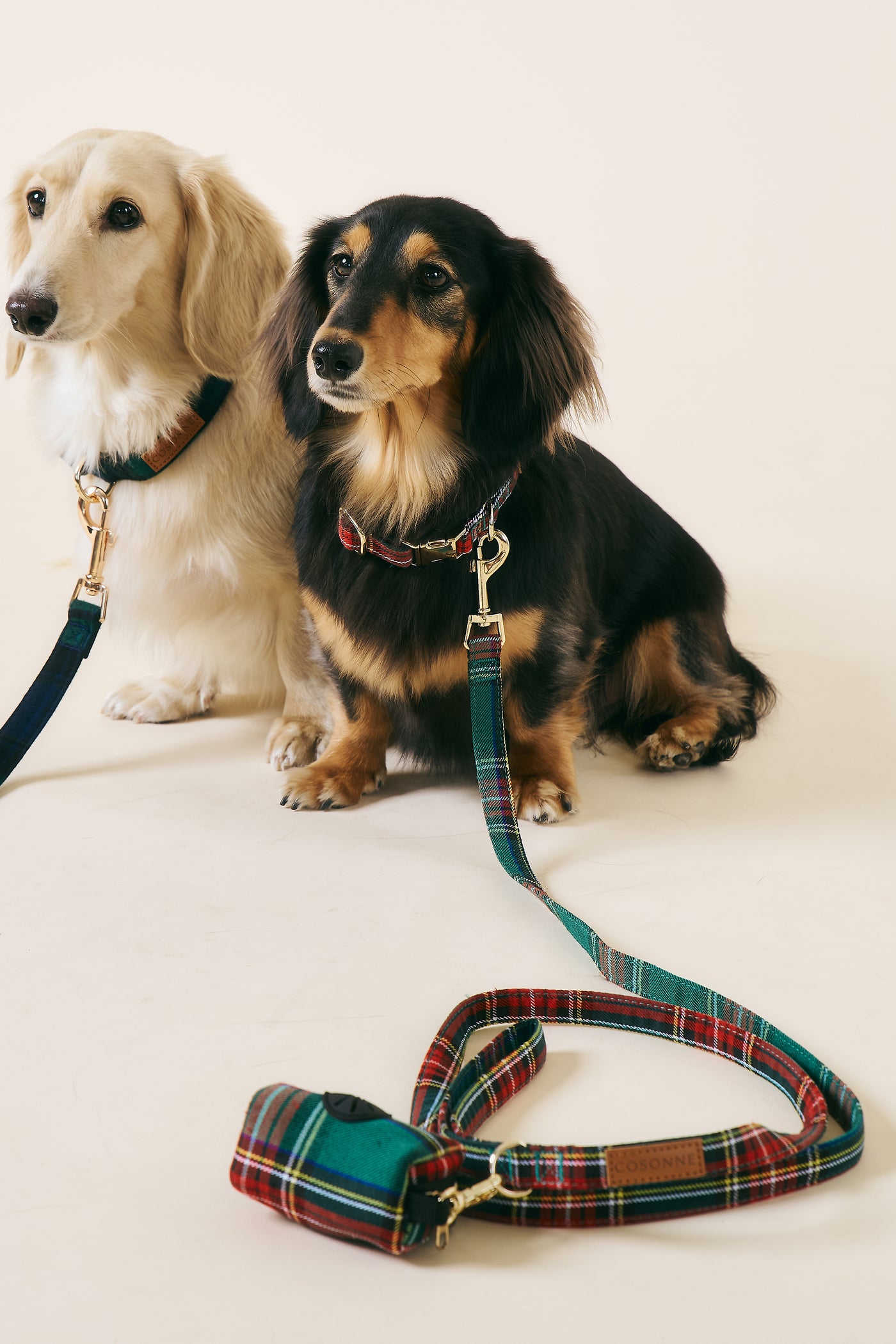 storets.com [COSONNE] Tartan Pet Leash