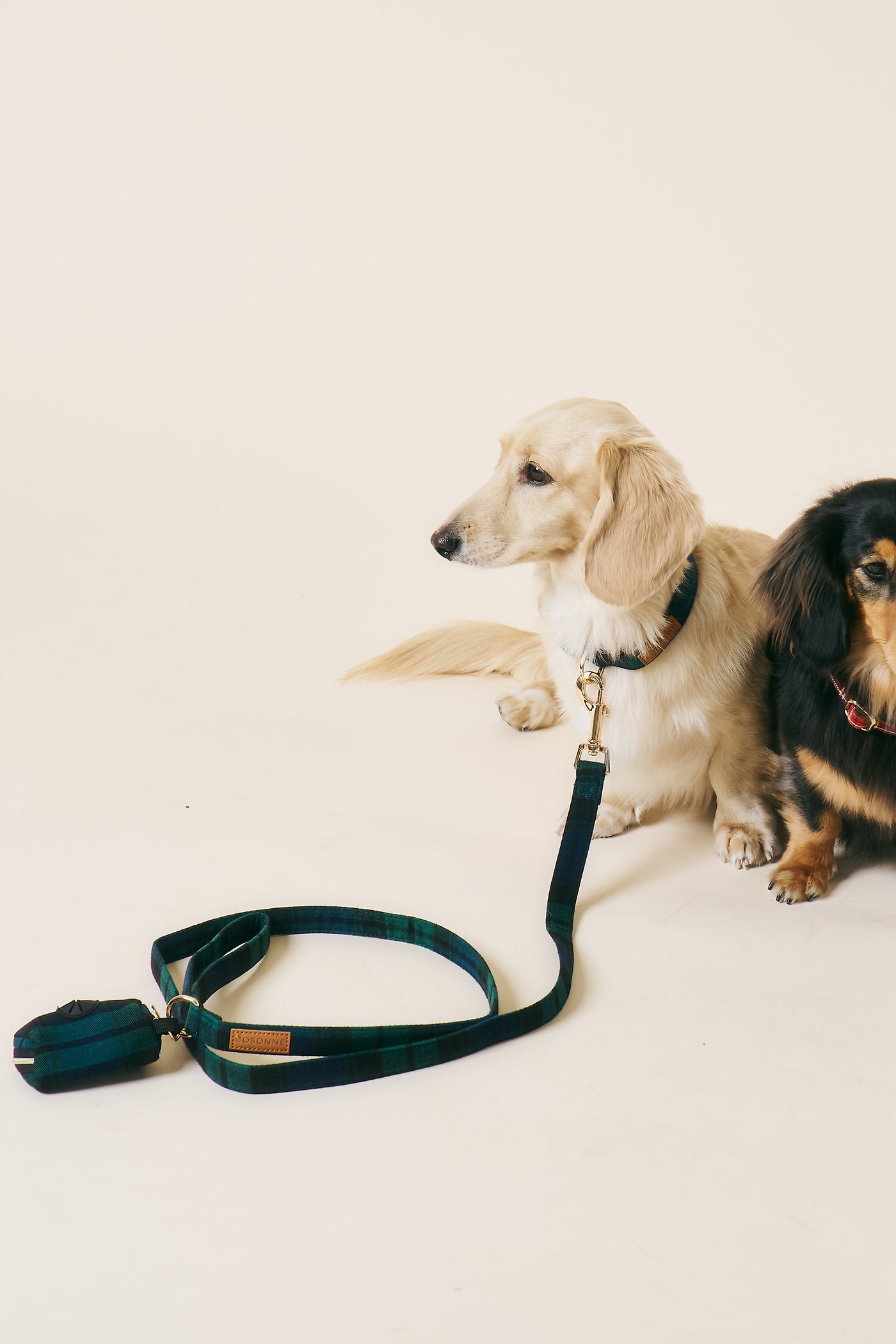 storets.com [COSONNE] Tartan Pet Leash