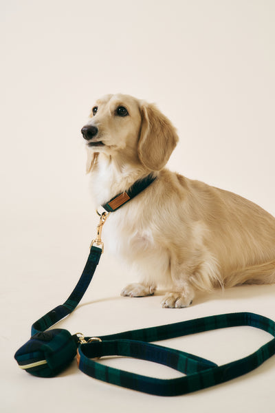 storets.com [COSONNE] Tartan Pet Leash