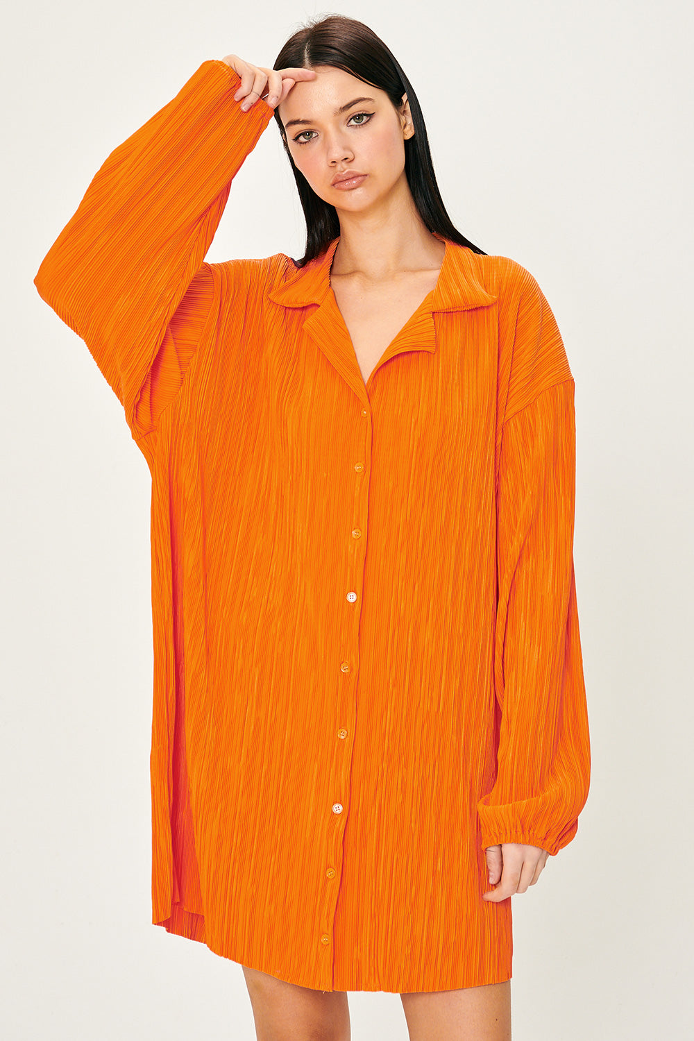 storets.com Sandra Plisse Shirt Dress