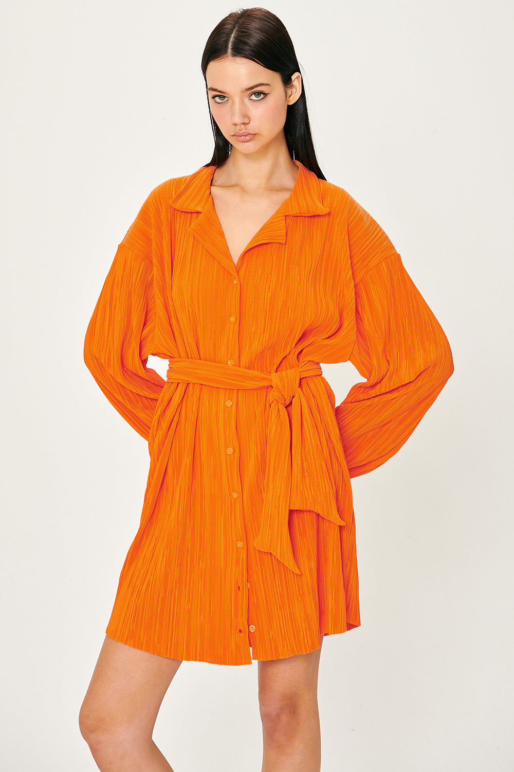 storets.com Sandra Plisse Shirt Dress