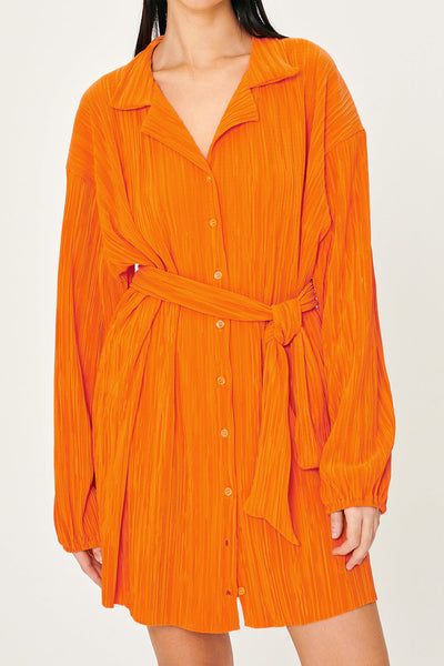 storets.com Sandra Plisse Shirt Dress