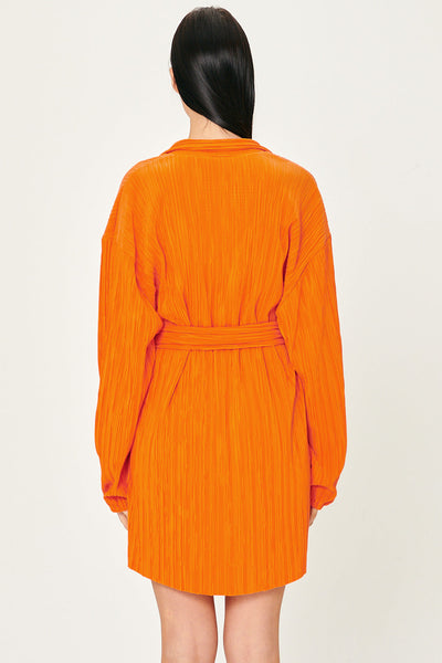 storets.com Sandra Plisse Shirt Dress