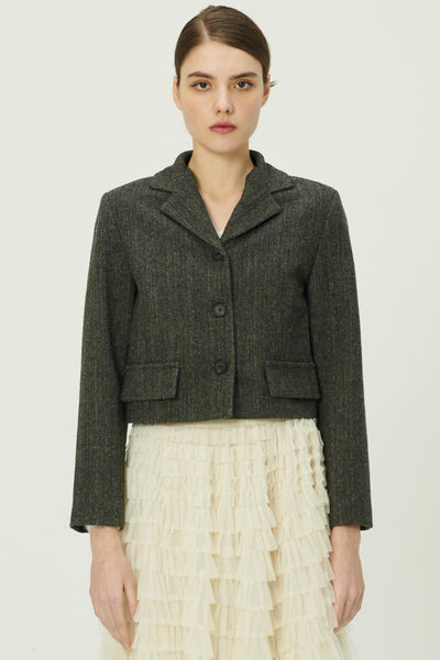 storets.com Miquela Herringbone Crop Blazer