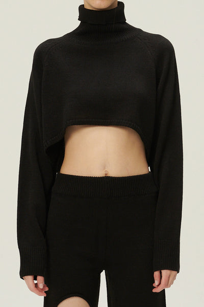storets.com Mia Cropped Turtleneck Sweater
