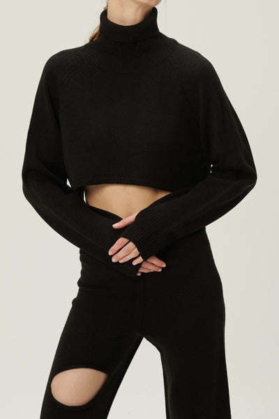 storets.com Mia Cropped Turtleneck Sweater