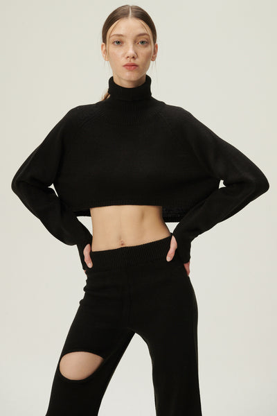 storets.com Mia Cropped Turtleneck Sweater