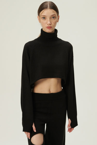 storets.com Mia Cropped Turtleneck Sweater