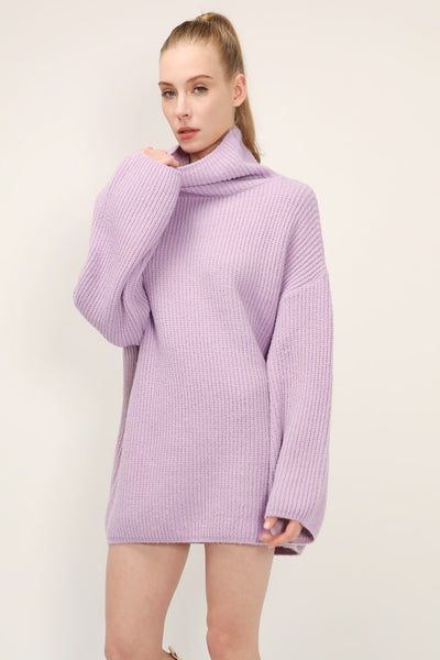 storets.com Kinsley Turtle Neck Knit Dress